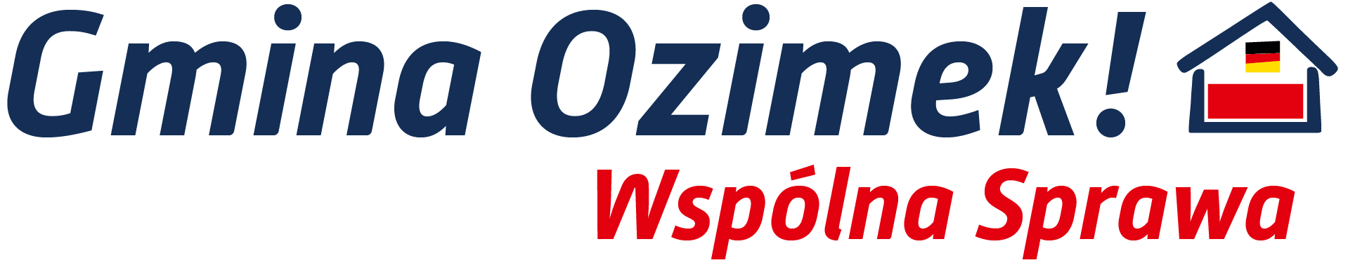 Ozimek 2020 Wybory